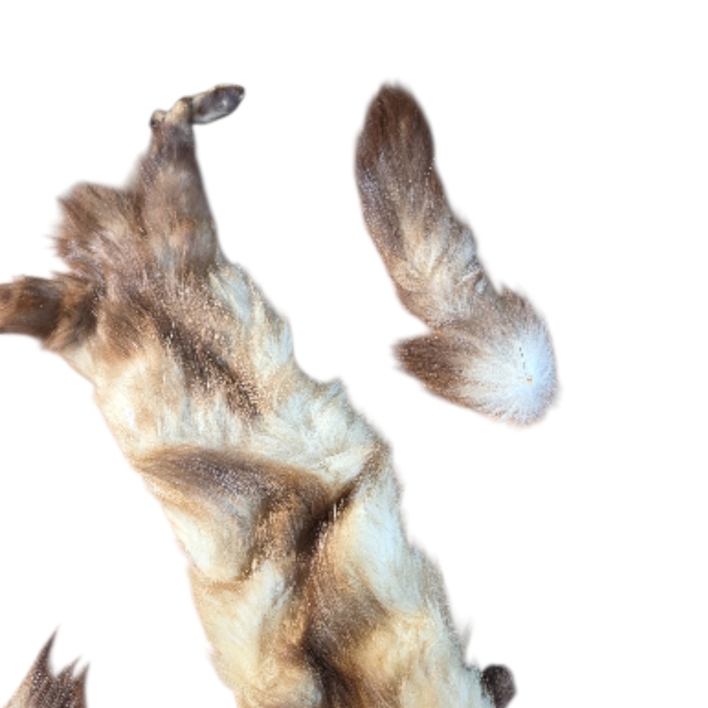 3 Vintage 1930's/40's Red Fox Fur Triple Stoles - Picture 9 of 16